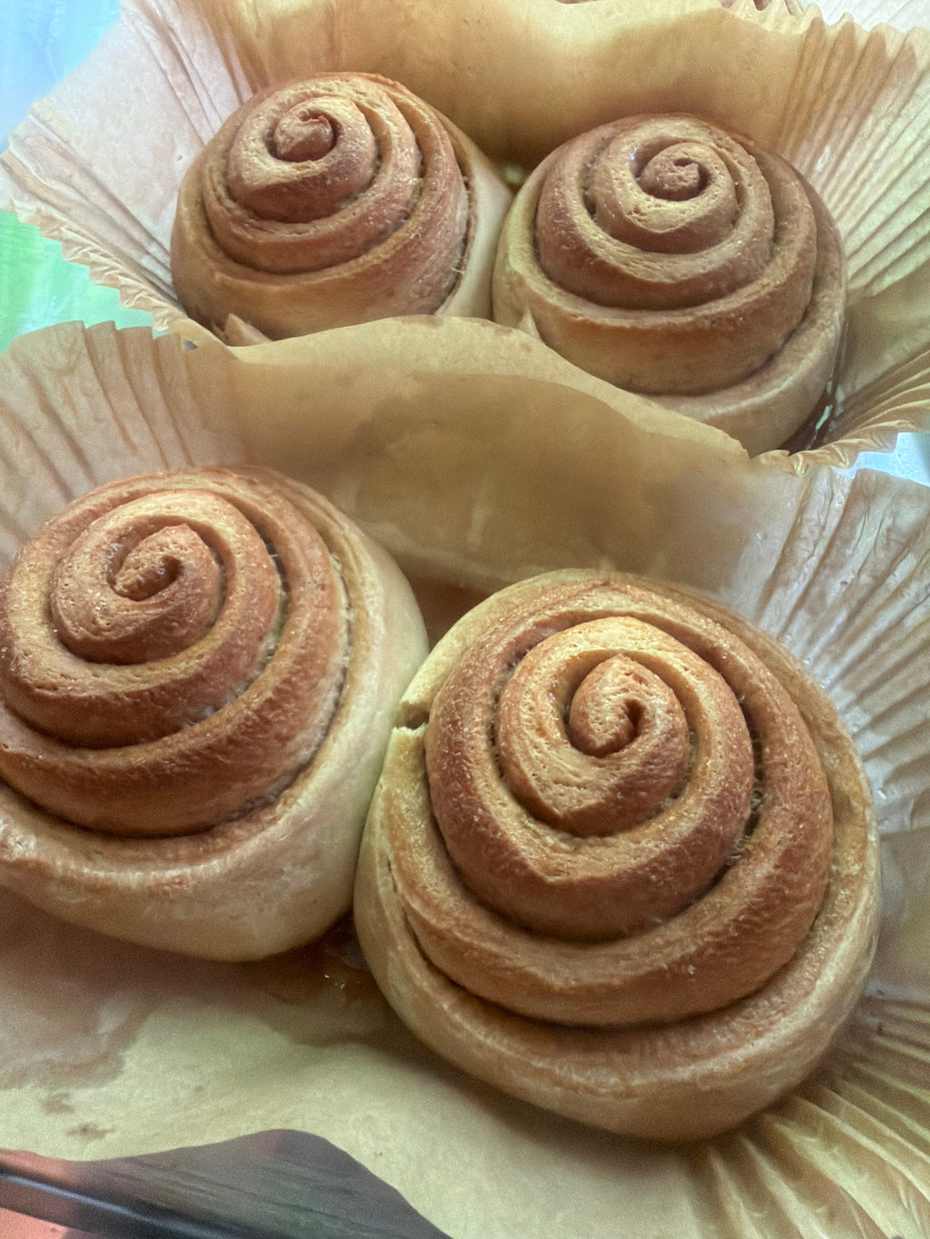 Classic Glazed Cinnamon Roll VEGAN